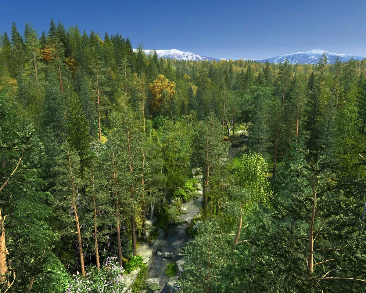 Лес 3D Модель .c4d .max .obj .3ds .fbx .stl .blend 