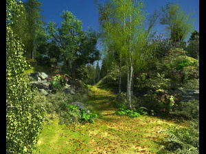 Лес 3D Модель