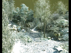 Лес 3D Модель