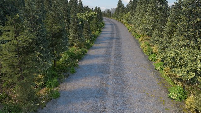 Forest road Model 3D .c4d .max .obj .3ds .fbx .stl .blend 