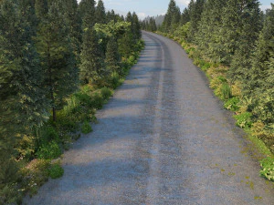 Forest road 3D Model