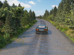 Forest road Model 3D