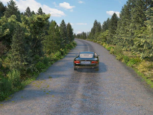 Forest road 3D Model