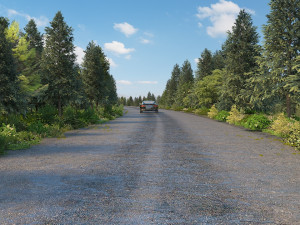 Forest road Model 3D