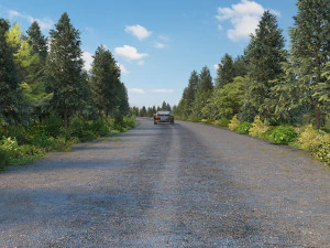 Forest road 3D Model