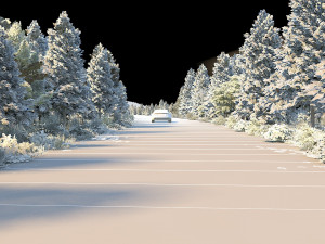 Forest road Model 3D
