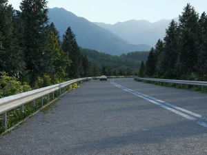 Strada forestale Modello 3D