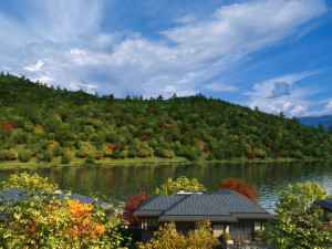 The lake 3D Model