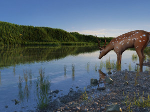 The lake Modello 3D