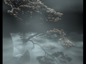 Pine tree Modèle 3D