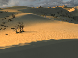 Desert 3Dモデル
