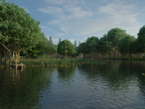Wetland Park 3D 모델