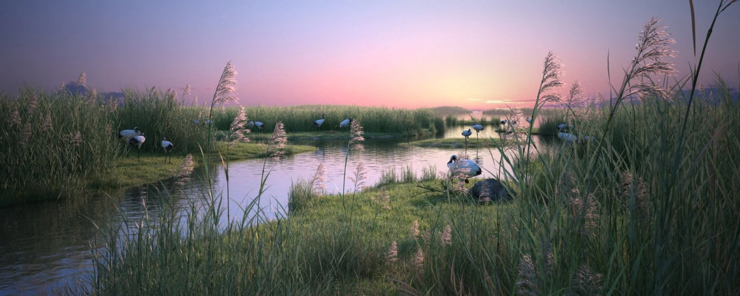 Wetland Red-crowned Crane 3D Model .c4d .max .obj .3ds .fbx .stl .blend