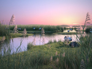 Wetland Red-crowned Crane Modelo 3D