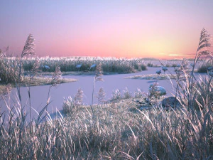 Wetland Red-crowned Crane 3D Model