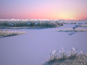 Wetland Red-crowned Crane 3D Model