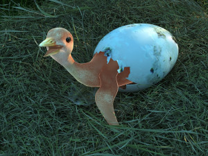 Wetland Red-crowned Crane 3D-Modell