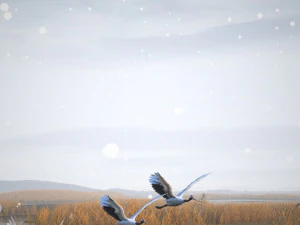 Grulla de corona roja de humedal Modelo 3D