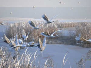 Wetland Red-crowned Crane 3D Model
