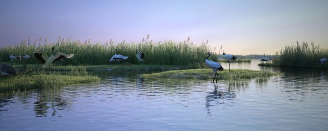 Wetland Red-crowned Crane Modello 3D .c4d .max .obj .3ds .fbx .stl .blend