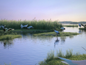 Wetland Red-crowned Crane Modello 3D