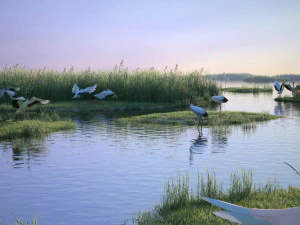 Wetland Red-crowned Crane 3D Model