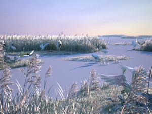 Wetland Red-crowned Crane Modello 3D