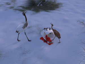 Wetland Red-crowned Crane 3D Model