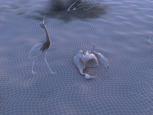 Wetland Red-crowned Crane Modelo 3D
