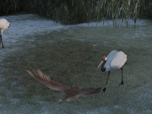 Wetland Red-crowned Crane Modèle 3D