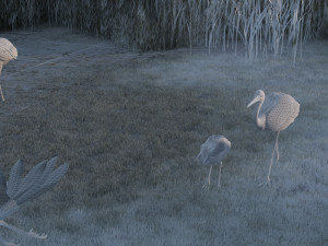 Wetland Red-crowned Crane Modèle 3D