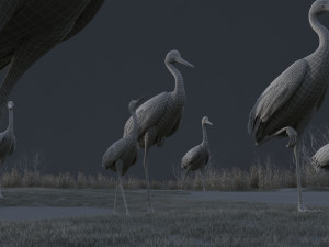 Wetland Red-crowned Crane 3D 模型