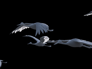 Wetland Red-crowned Crane 3Dモデル