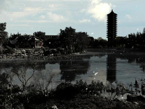 West Lake 3D Model