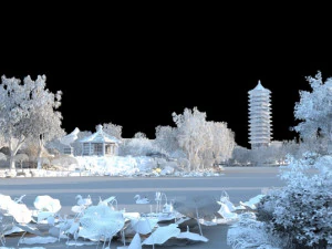 West Lake 3D Model
