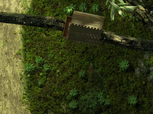 Nido di uccelli Modello 3D