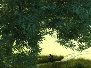 Birds nest 3D Model