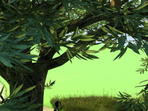 Birds nest 3D Model
