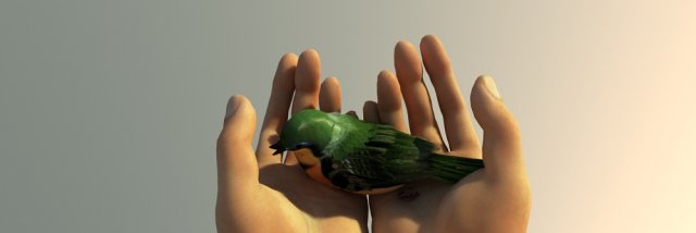 Flying birds 3D Model .c4d .max .obj .3ds .fbx .stl .blend