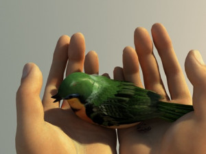 Flying birds 3D मॉडल