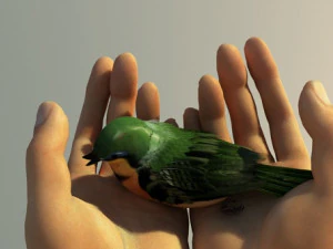 飛んでいる鳥 3Dモデル