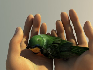 Flying birds 3D Model