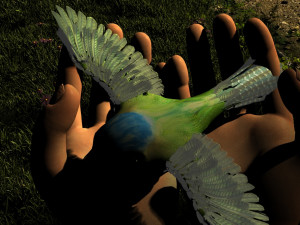 Flying birds 3D Model
