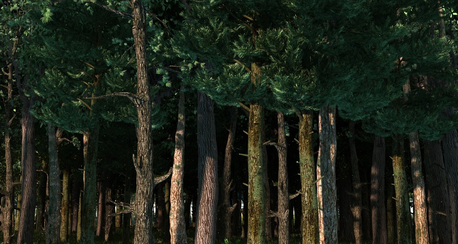 Forest 3D Model .c4d .max .obj .3ds .fbx .stl .blend 