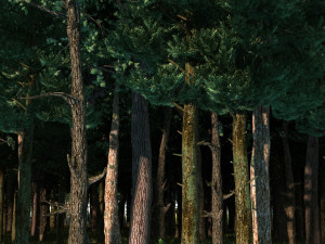 Forest Modelo 3D
