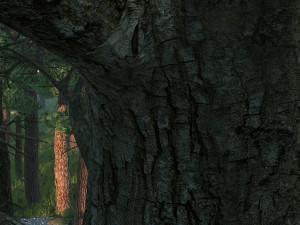 Forest 3Dモデル