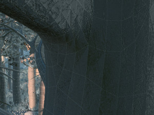 Forest 3Dモデル