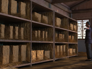 Wine Square 3D Модель