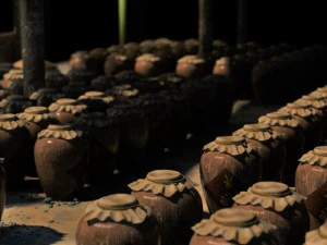 Wine Square 3D Model