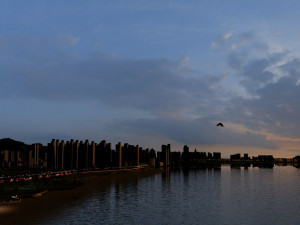 City night view 3Dモデル